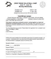 Volleyball Camp